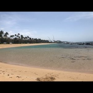 Meet your Posher, Cami